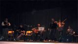 amades0008