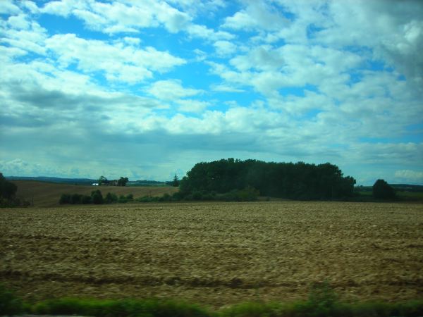 DSCN8187