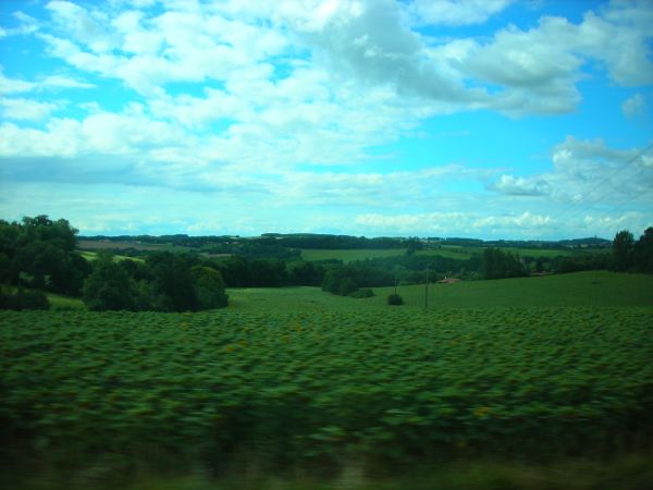 DSCN8189