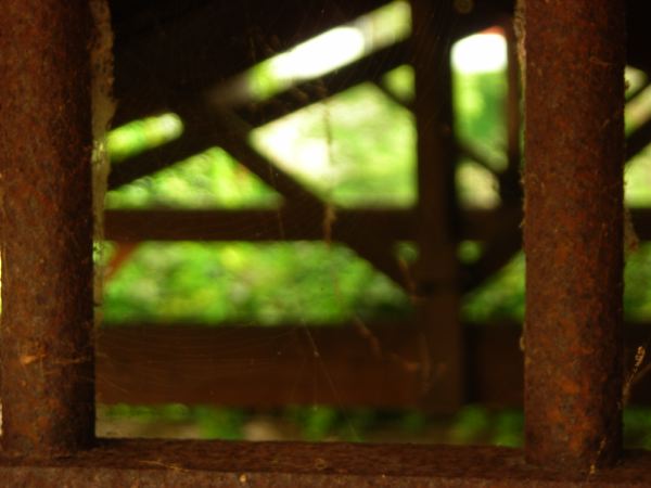 DSCN8229