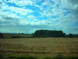 DSCN8187