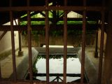 DSCN8226
