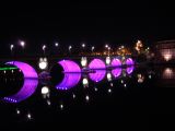DSCN8395