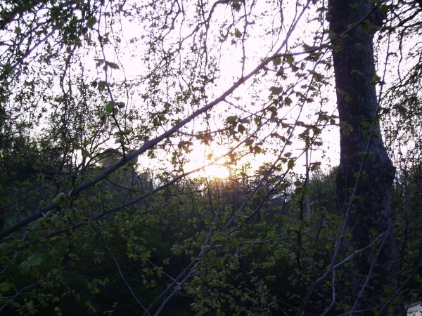 PICT0854