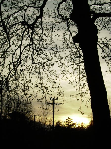 PICT0857