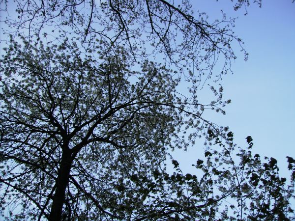 PICT0860