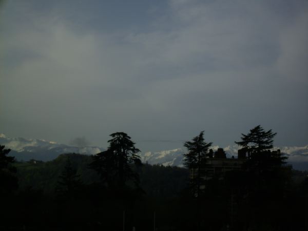 PICT0923