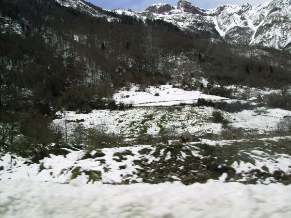 PICT0924