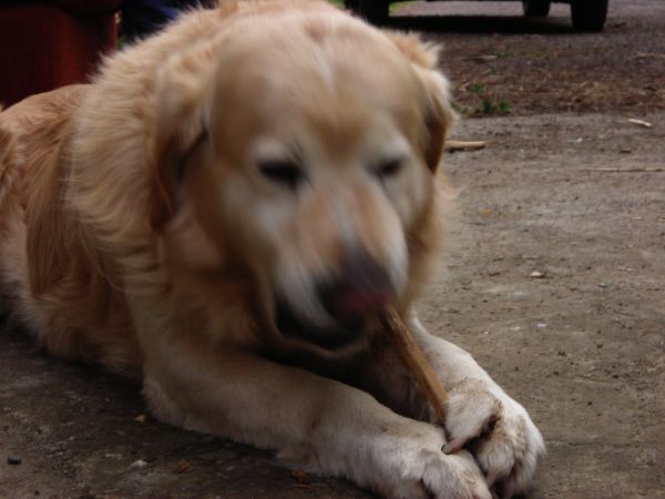 DSCN8907