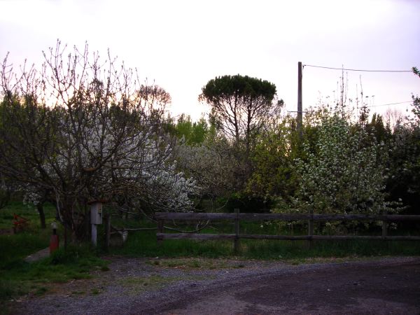 DSCN8952