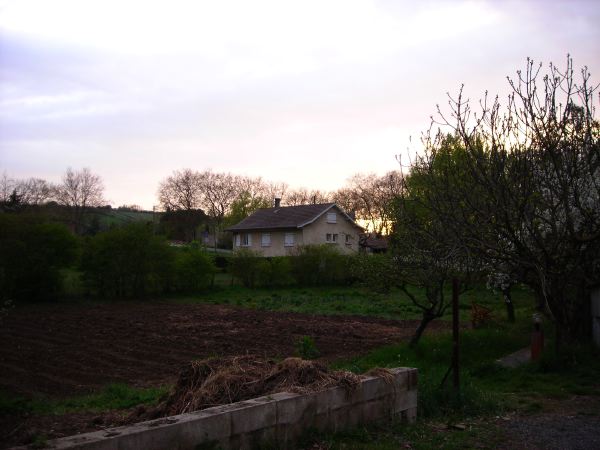 DSCN8953