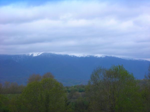 DSCN9153