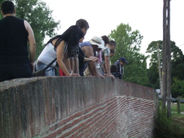 PICT1143