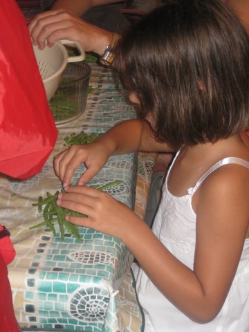 vacances 2009 304