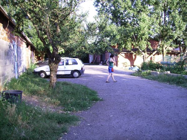PICT1094