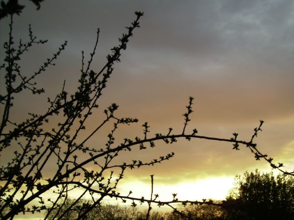 PICT0807