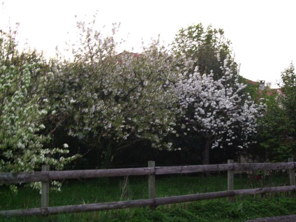 PICT0808