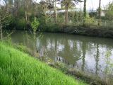 PICT0834