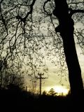 PICT0857