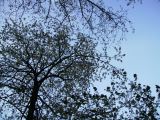 PICT0860