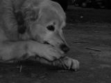 DSCN8912
