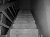DSCN8923