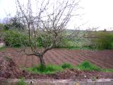 DSCN8956