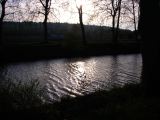 DSCN9039