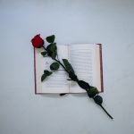 top view of a red rose on an open book
